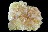Lustrous Yellow Cubic Fluorite Crystal Cluster - Morocco #84291-1